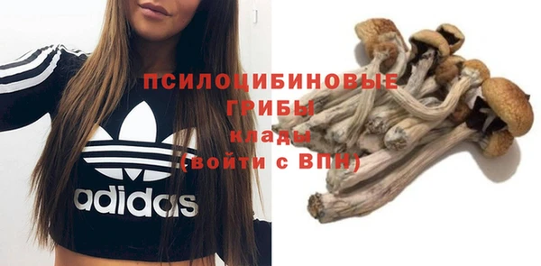 гидропоника Абдулино