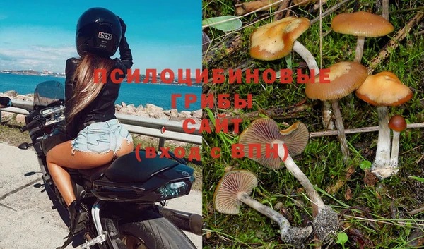 гидропоника Абдулино